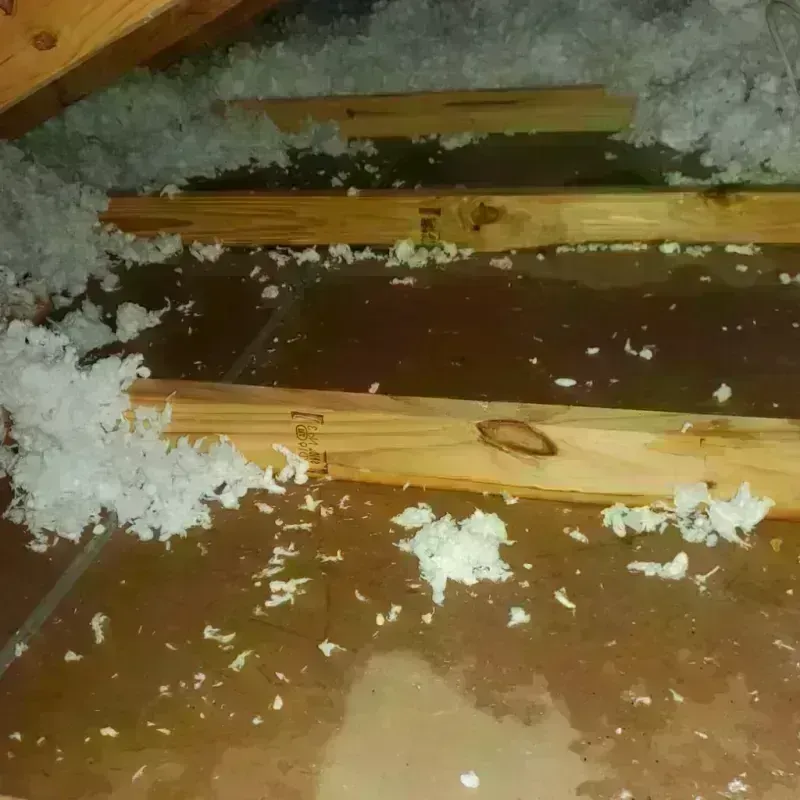 Attic Water Damage in Citra, FL